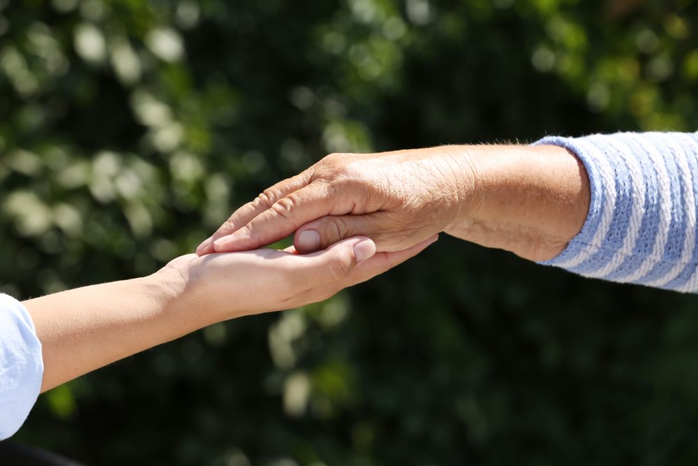 A Dedicated Hospice Care Team